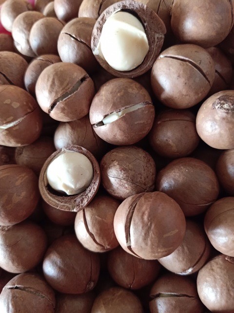 hạt macca tách vỏ nhập khẩu organic (500gr)