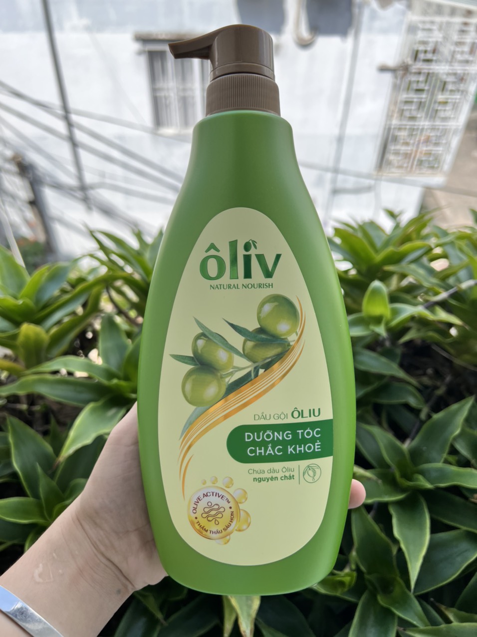 Dầu gội oliv 650ml