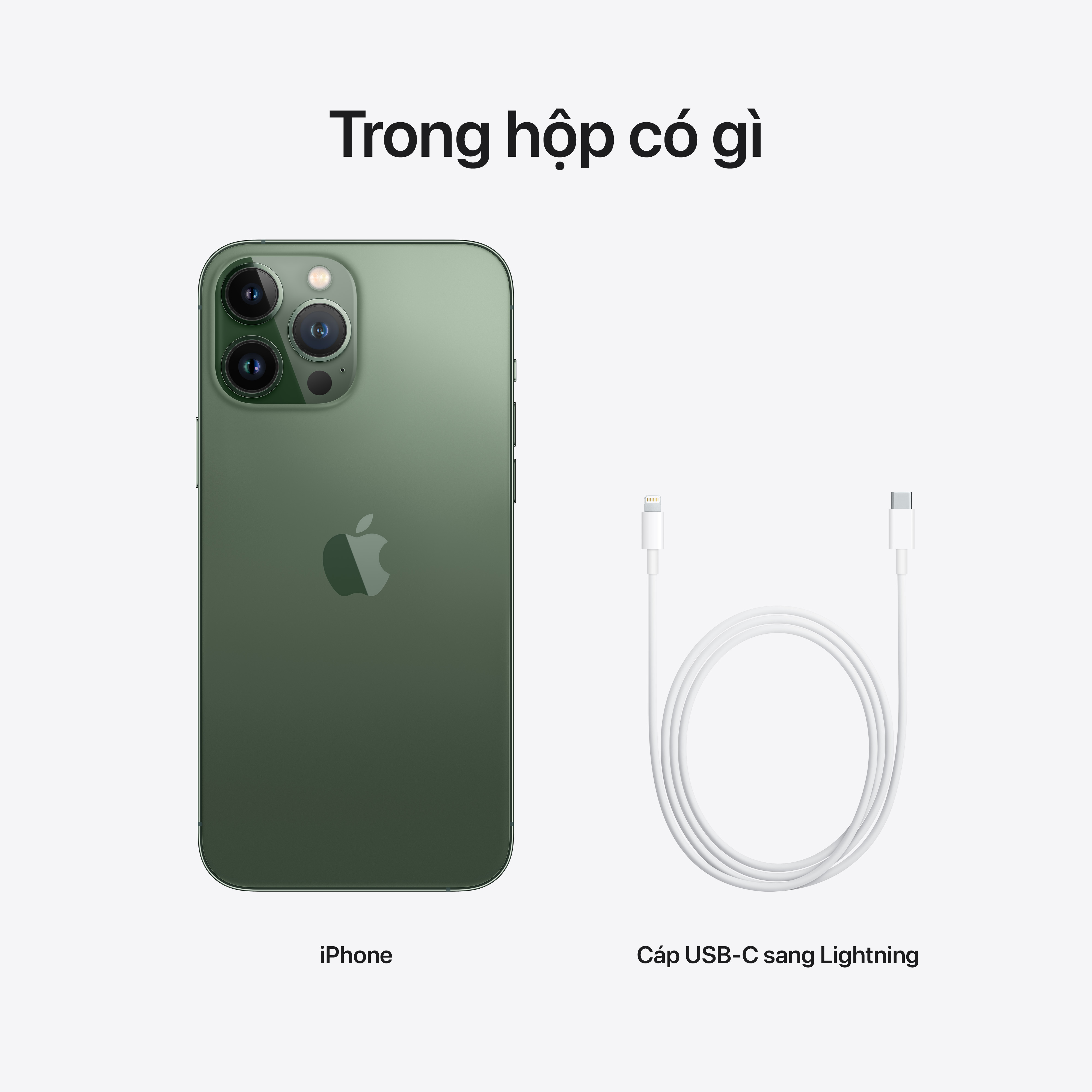 [Sale Tết] iPhone 13 Pro Max - Hàng Chính Hãng VN/A