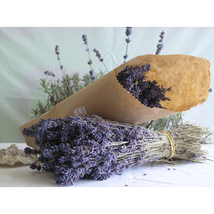 Dầu Lăn Hương Lavender Thái Lan 8ml