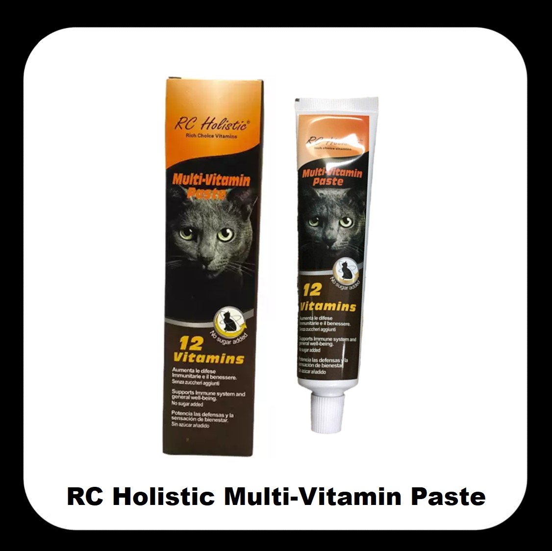 CAT VITAMIN PASTE RC HOLISTIC MULTI VITAMIN PASTE 80G Lazada