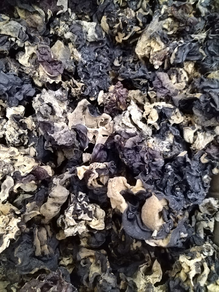 Dried Black Fungus Mushroom / Tengang Daga 200g Lazada PH