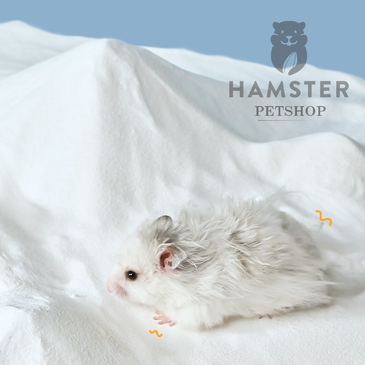 Cát tắm Hamster, thỏ , bọ , sóc