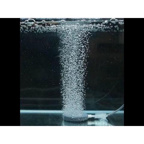 Đĩa sủi oxy 4cm, 6cm, 8cm, 10cm cho hồ cá bể cá thủy sinh (dùng với máy sủi oxy)