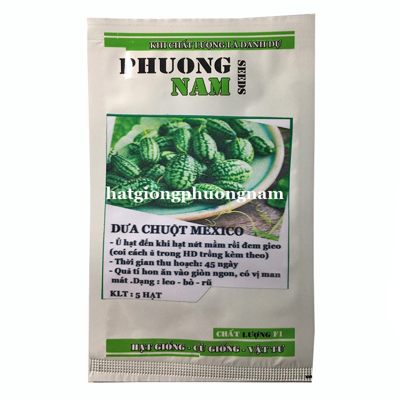 Hạt giống dưa hấu mini, dưa chuột mexico gói 5 hạt