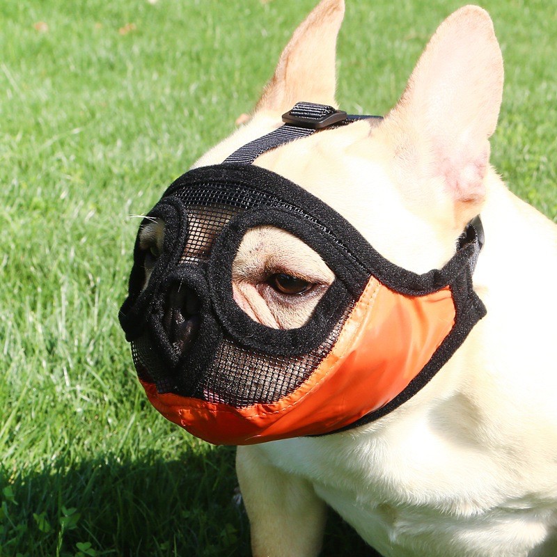 KHỚP, RỌ MÕM VẢI LƯỚI CHO CHÓ (PUG, BULL Anh, BULL Pháp)