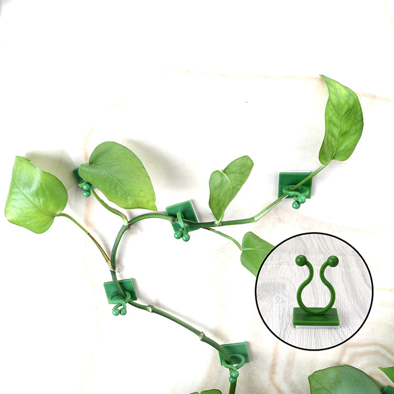 20pcs%20Plant%20Stand%20Green%20Leaf%20Clip%20Self%20Adhesive%20Plant%20Clip%20Home%20Garden%20Vine%20Invisible%20Climbing%20Wall%20Stand%20Hook%20Plant%20Clip%20JUE%20-%20Image%203