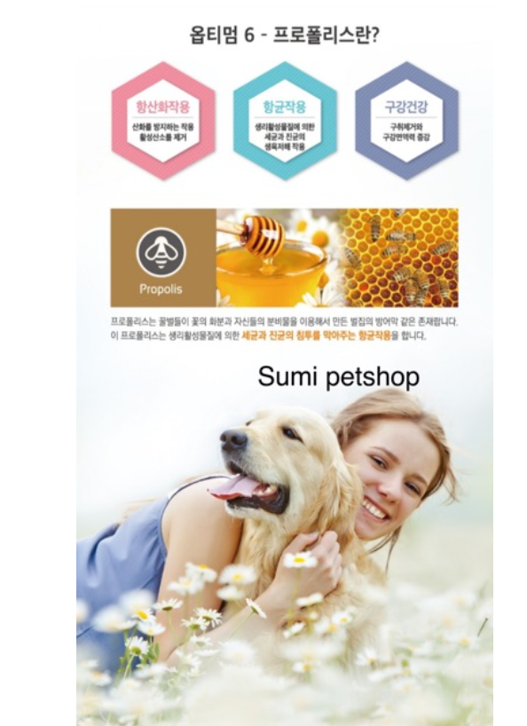 THỨC ĂN HẠT CHO CHÓ DOG MANIA (HÀN QUỐC) - 5Kg ( thức ăn khô,thức ăn hạt )