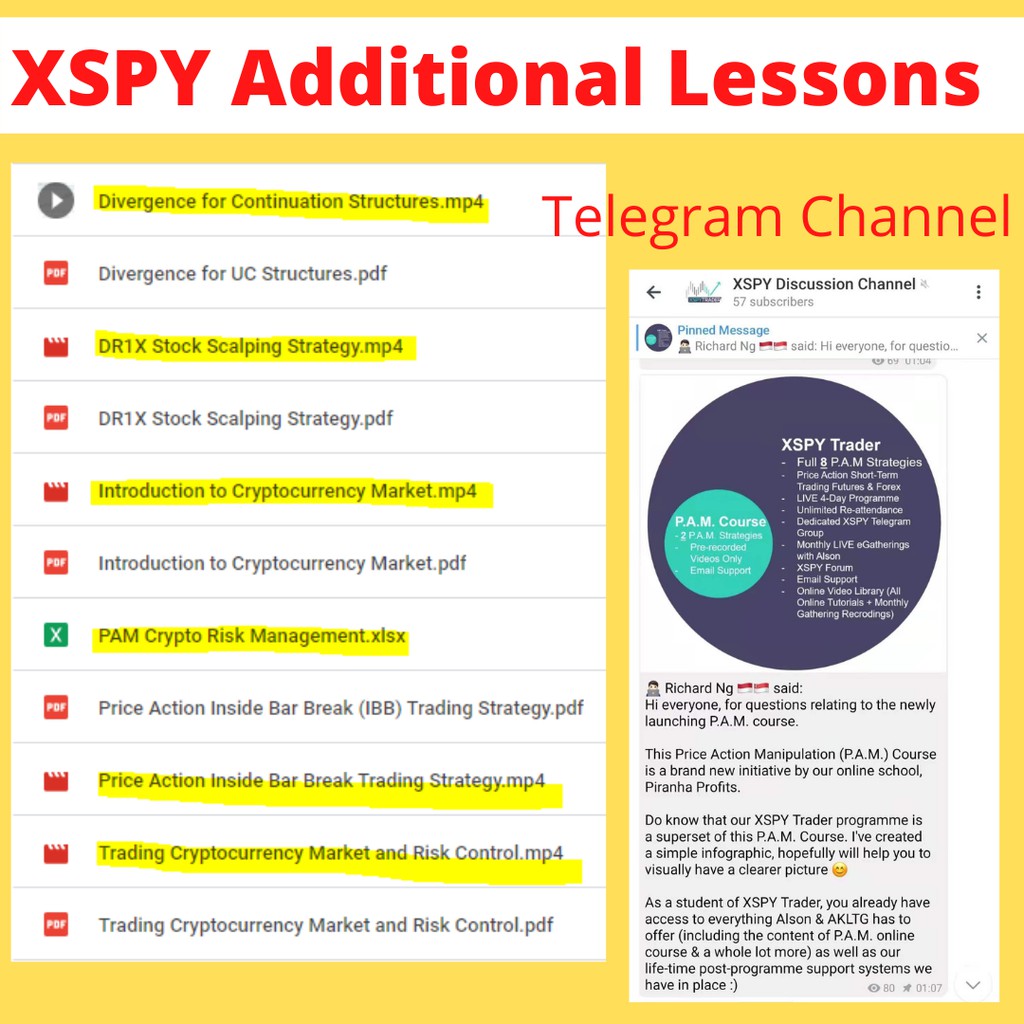 book XSPY PAM Price Action Manipulation Trading Video Course Updated  Monthly Stock Option Adam Cool Alson Chew - Lazada | Lazada