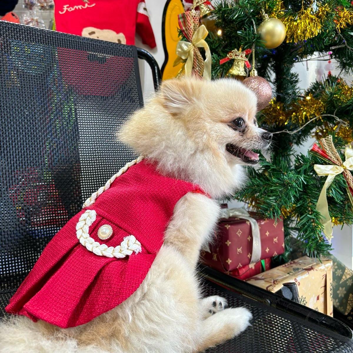 ĐẦM Dạ Tết cho chó mèo - Punpun Petshop