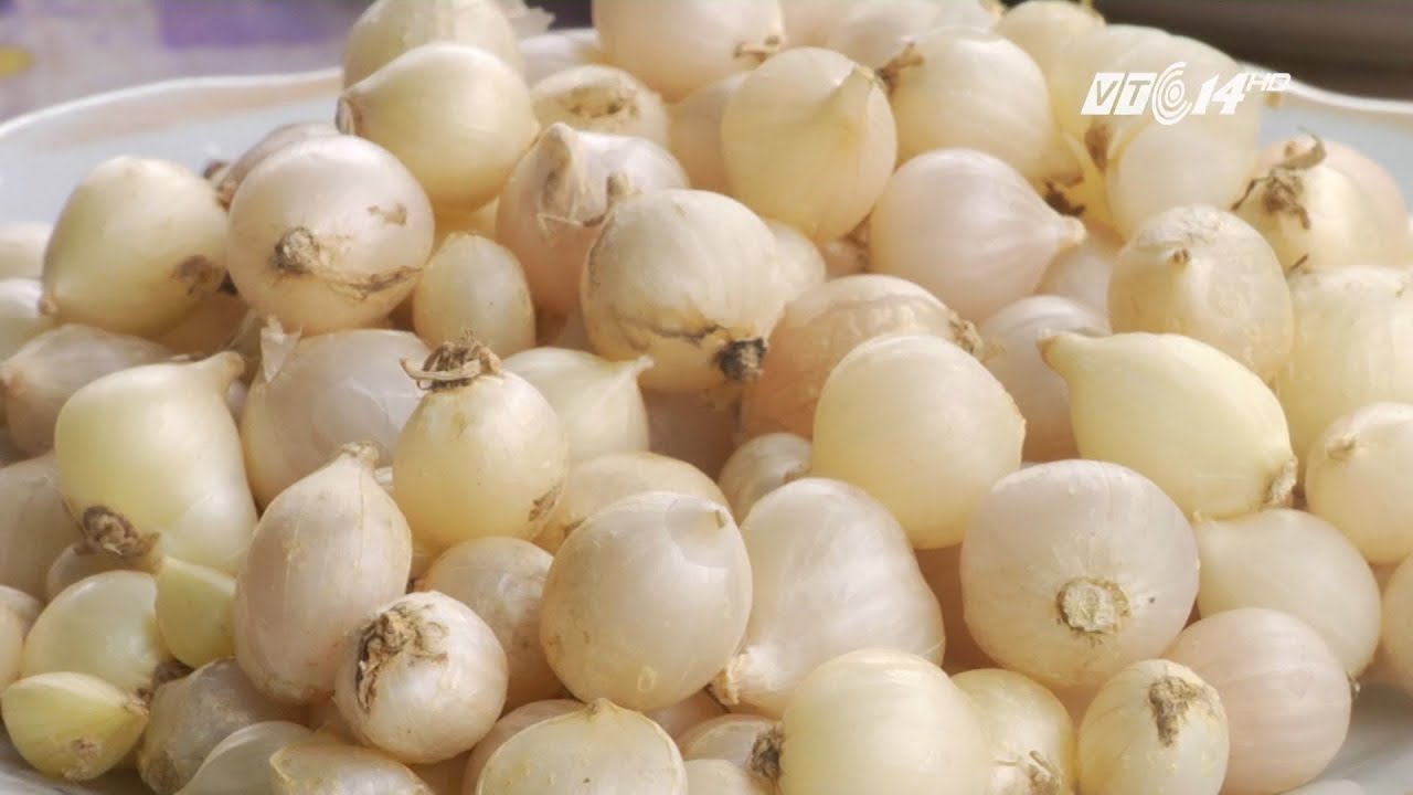 Hành tăm ( củ nén)