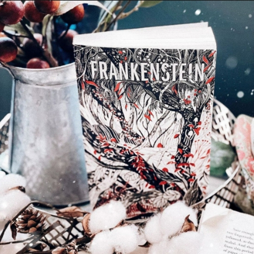 Frankenstein%20(%20Book%20by%20Mary%20Shelley%20)%20%7C%20Matte%20Lamination%20%7C%20Premium%20Paper%20%7C%20-%20Image%205
