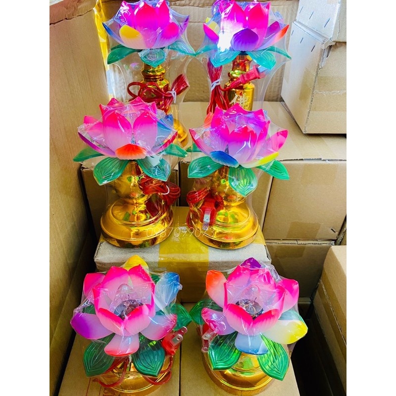 Bộ Đèn Bàn Thờ Hoa Sen HS-01 Đế Vàng Nhỏ