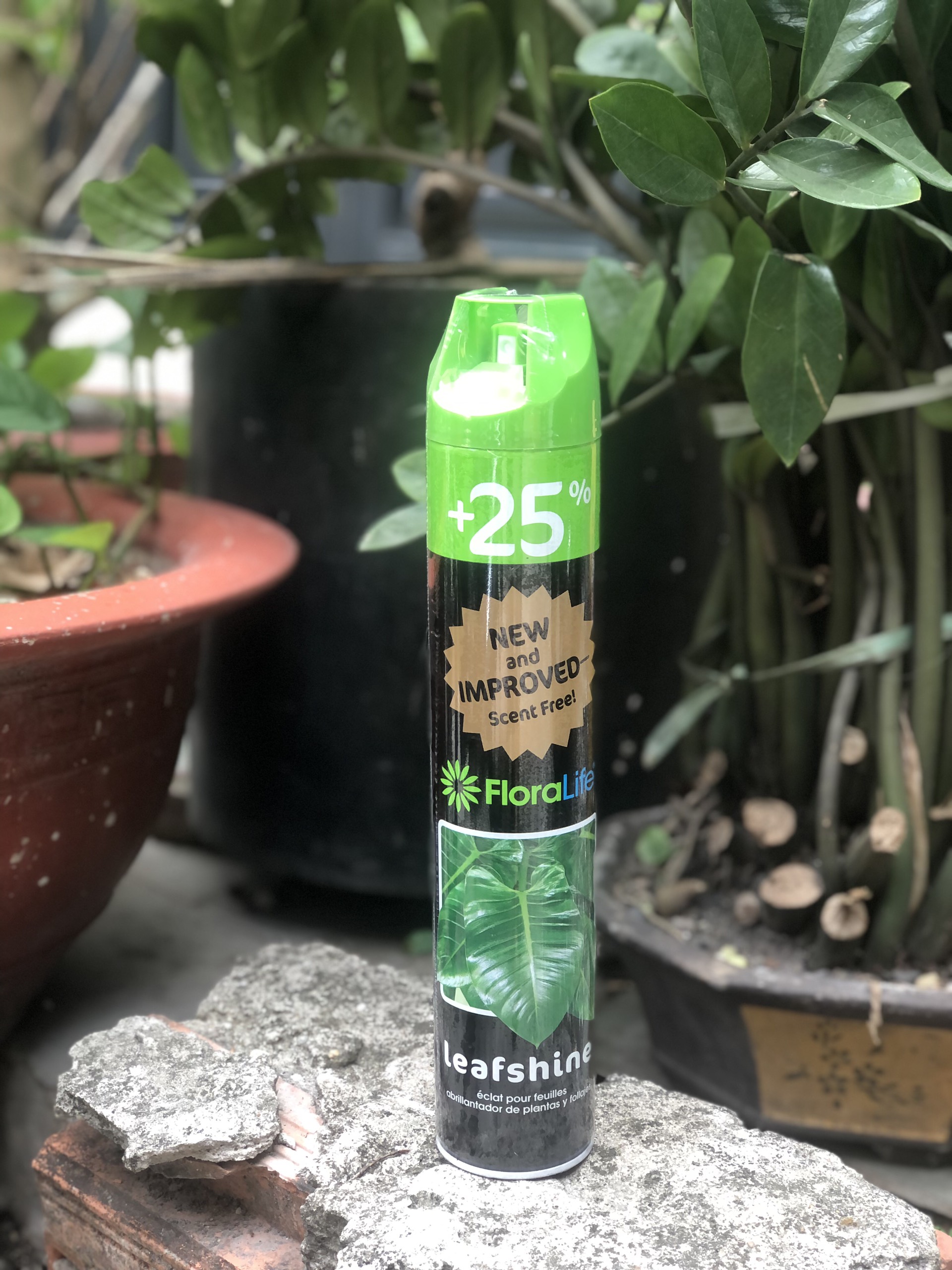 [HCM]Leaf shine- xịt bóng lá 750 ml