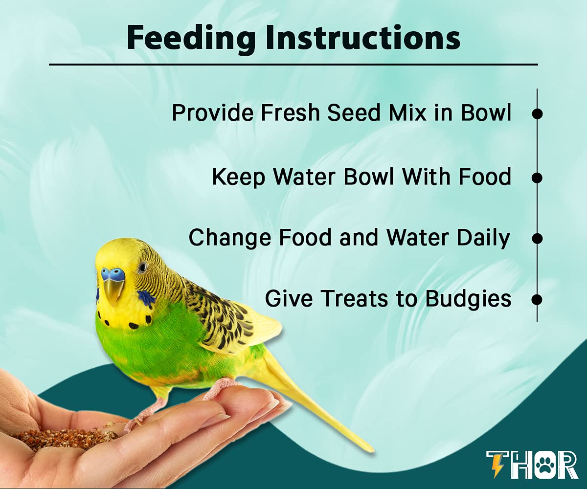 Photo inspiration: Picture Idea: Thor Natural And Healthy Seed Mix Bird Food For All