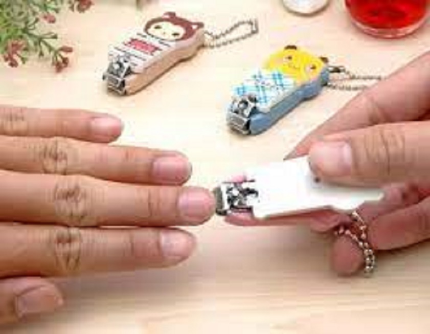 Bấm móng hình thú ngộ nghĩnh cho bé