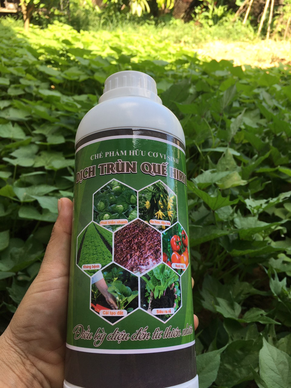Phân bón hữu cơ cao cấp dịch trùn quế HIRYO - Chai 500ml