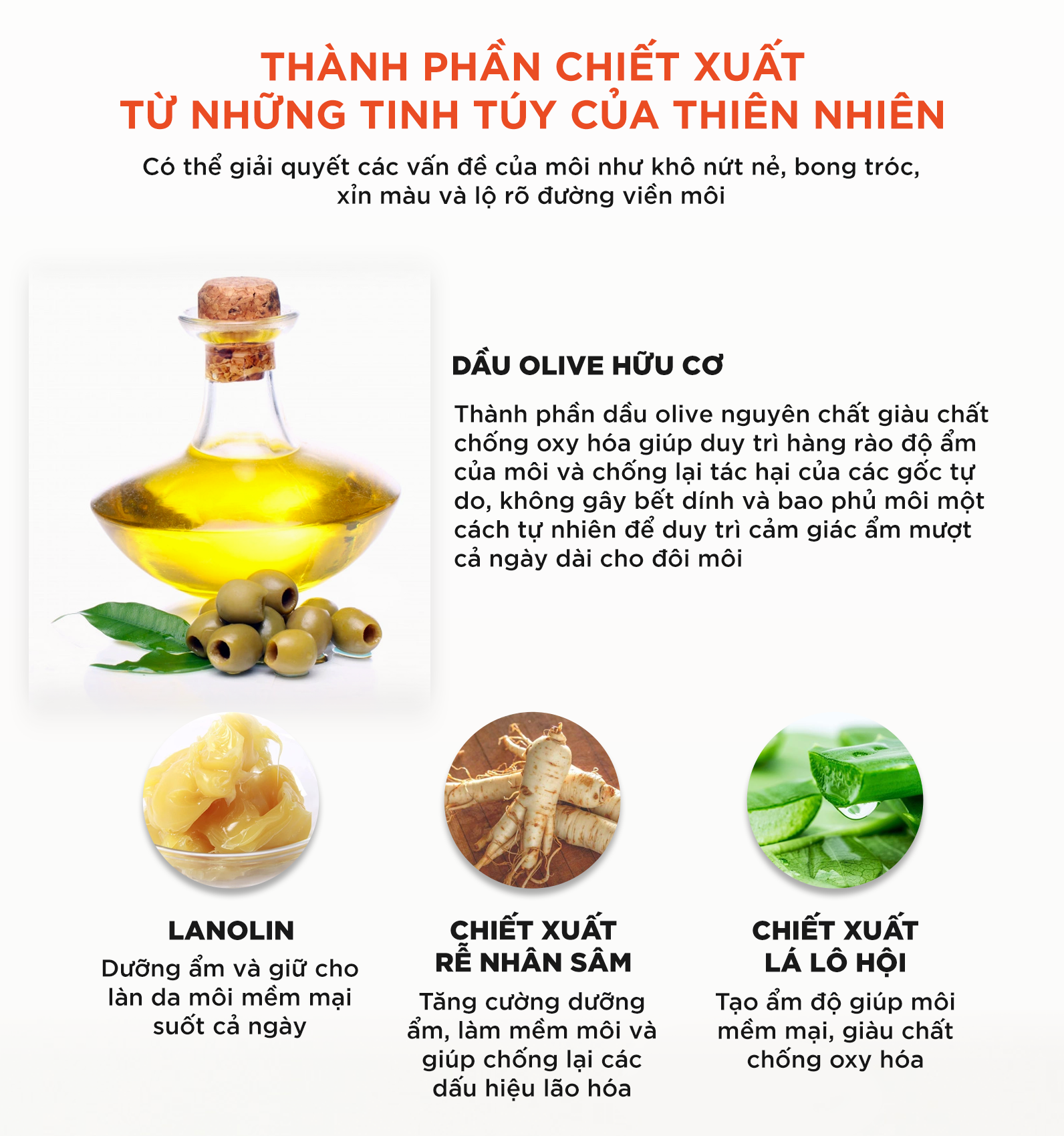 [Hoàn Tiền 15%] Son dưỡng DHC Lip Cream 1.5g