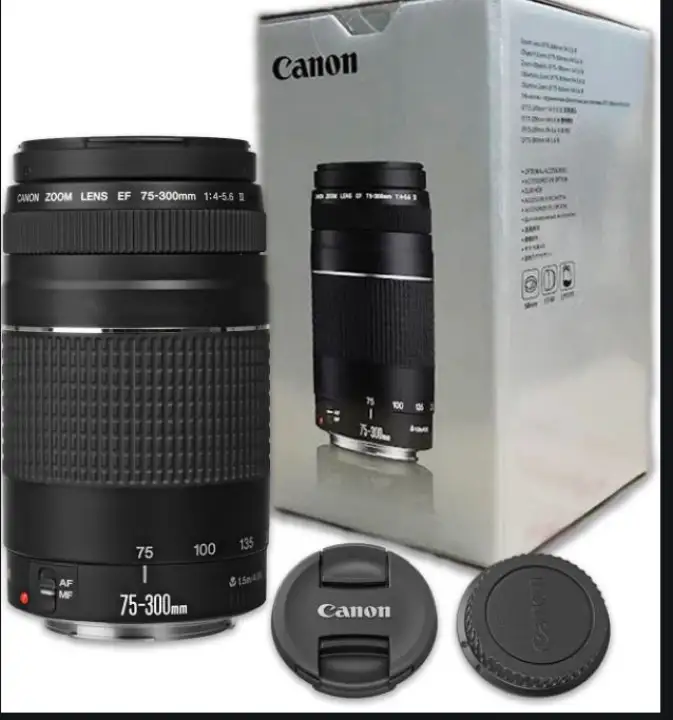 Canon Ef 75 300mm F 4 5 6 Iii Telephoto Zoom Lens For Canon Slr Cameras Lazada Singapore