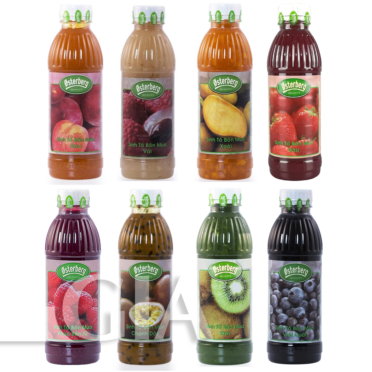 Sinh tố trái cây Osterberg 1L