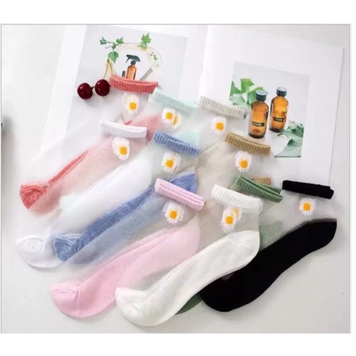 10 đôi vớ Tất hoa cúc lưới ren