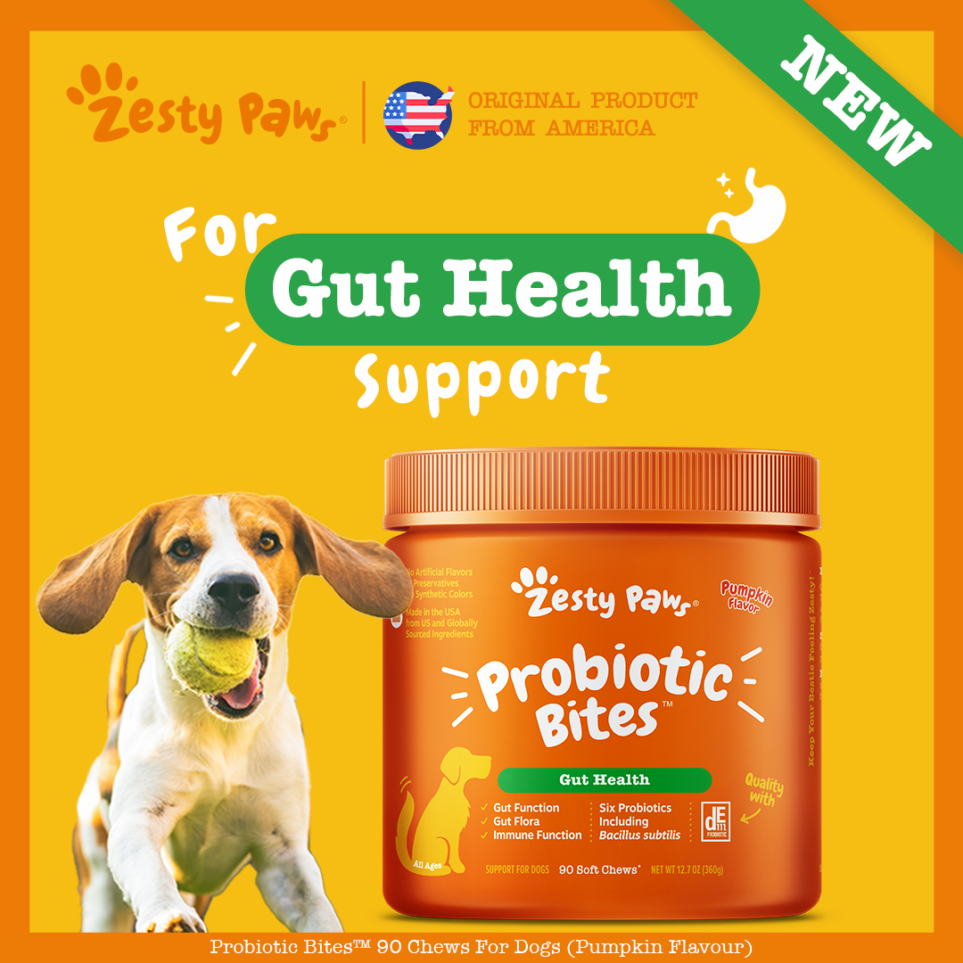 Zesty Paws Probiotic Bites Vị Bí Ngô 90ct
