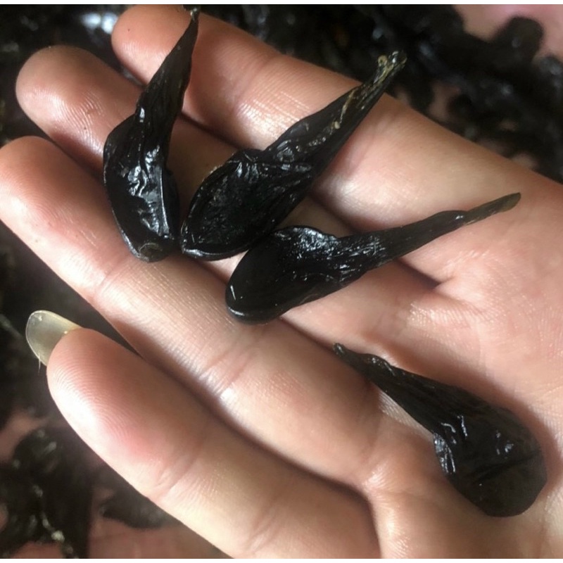 [CHÍNH HÃNG] Mật Kì Đà Chuẩn Rừng Lai Châu (Tây Bắc Shop)