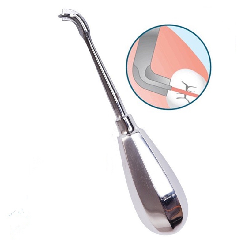 Crown remover stainless steel crown removal tool