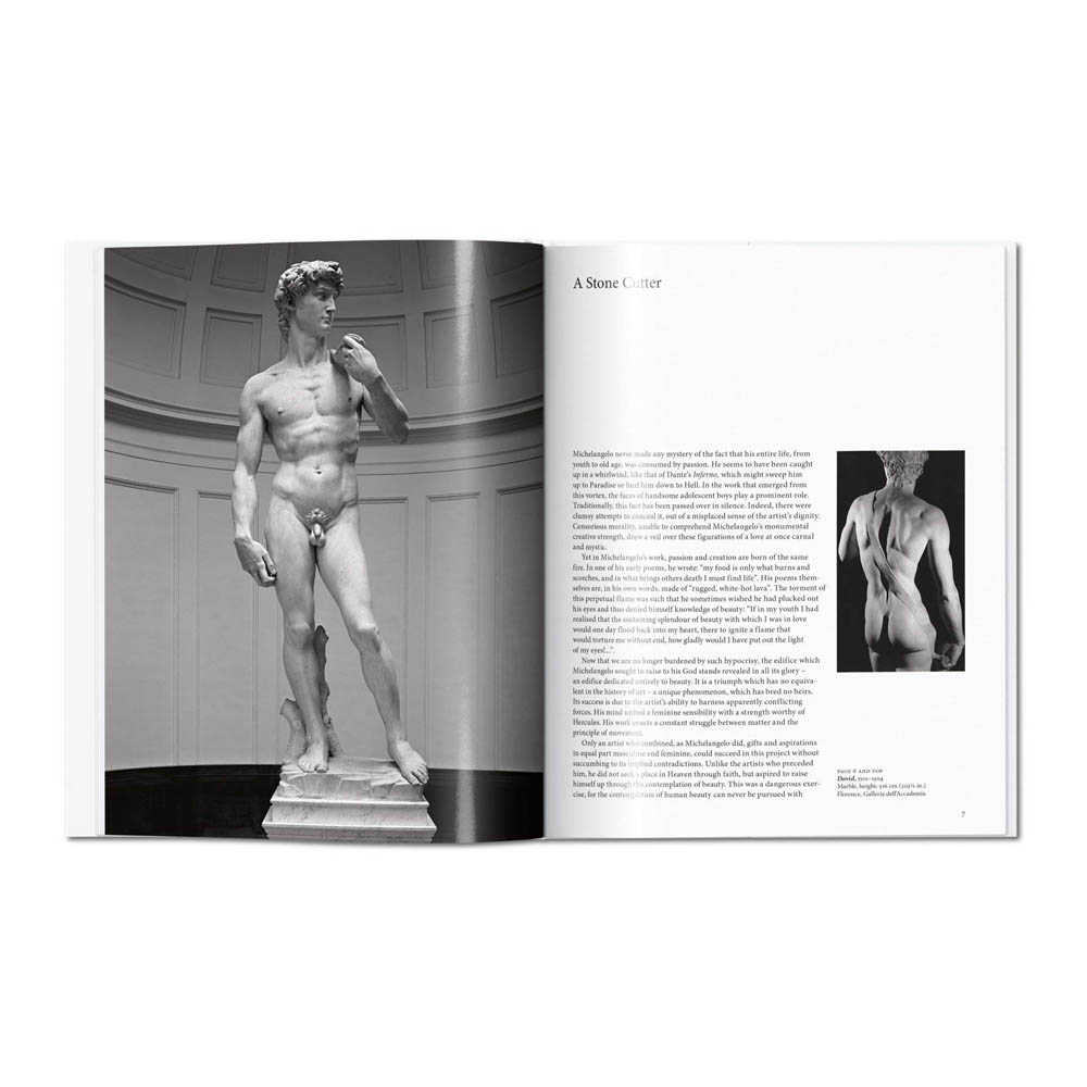Artbook - Sách Art - Michelangelo