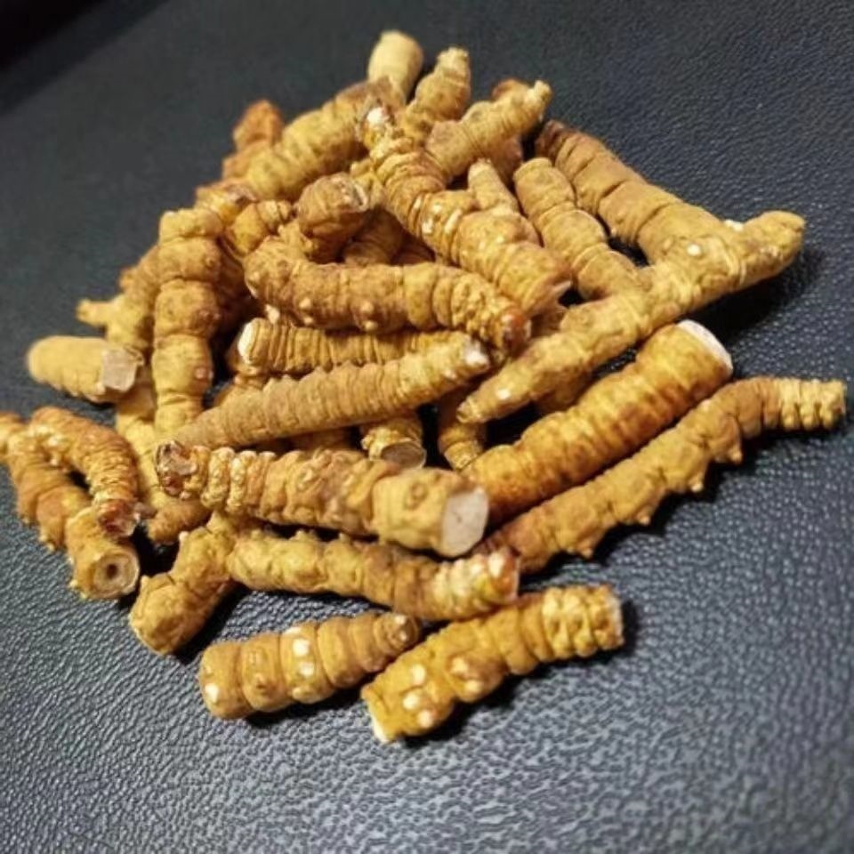 Đông trùng hạ thảo hoang dã đích thực Đông trùng hạ thảo Đông trùng hạ thảo vỡ Đông trùng hạ thảo lớn Tây Tạng Ganzi Finerqu Trà bong bóng nuôi dưỡng