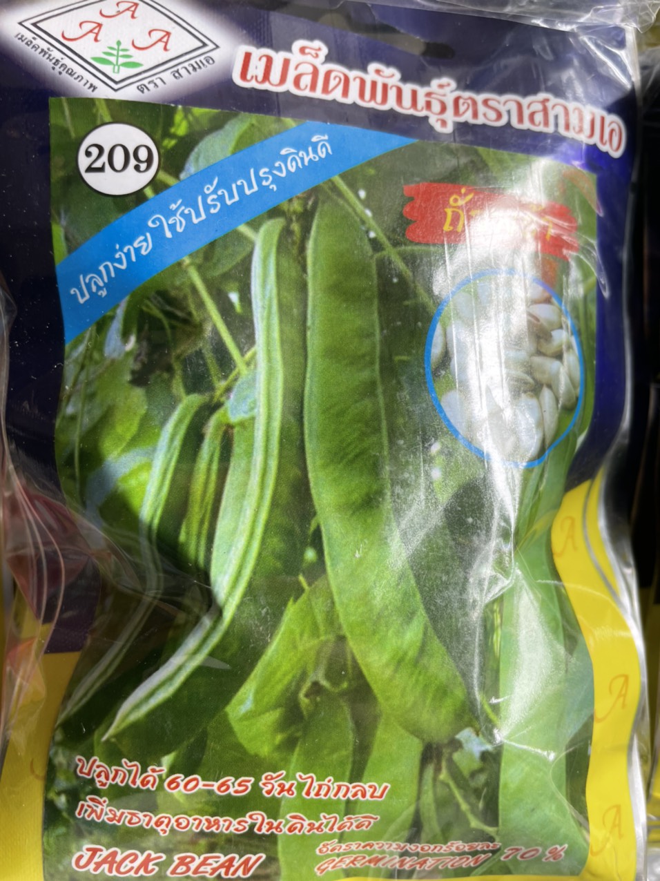 Hạt giống đậu kiếm Jack bean