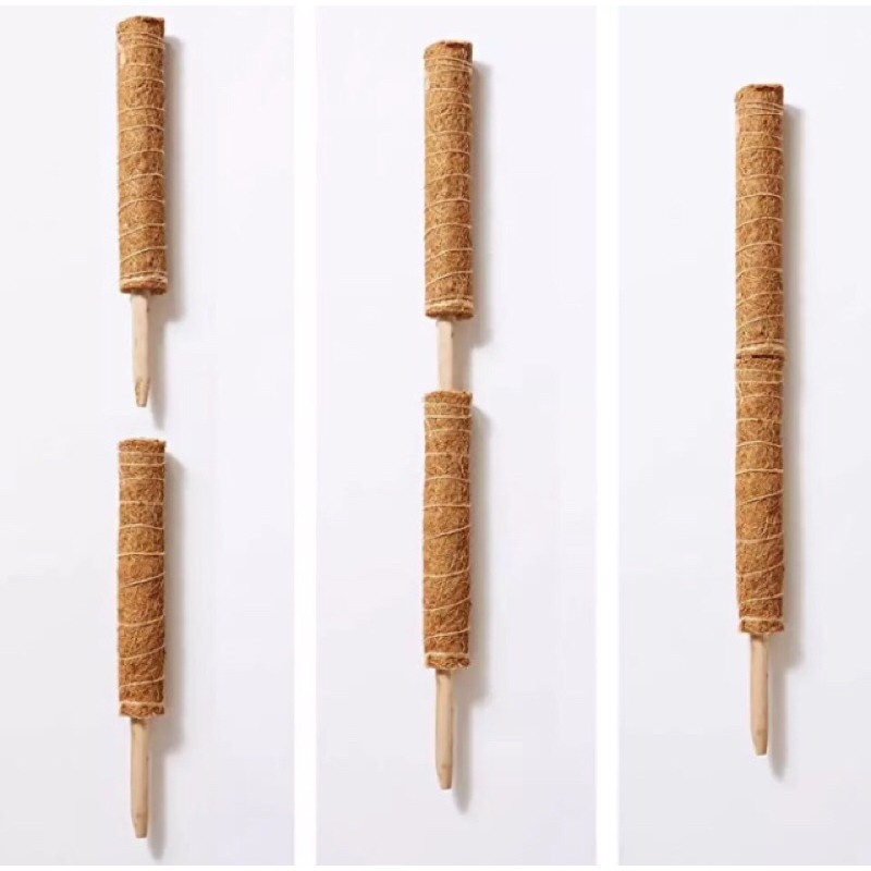 Trụ cột xơ dừa cho cây leo bám cột 30/40/50cm