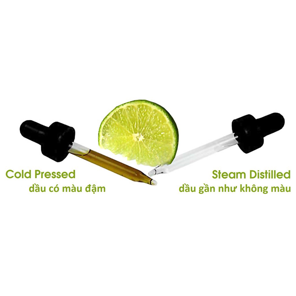 Tinh dầu chanh tây Lemon Essential Oil (Distilled)