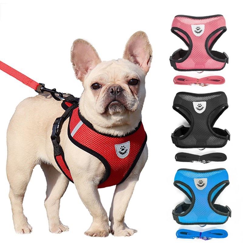 Puppy body leash hotsell