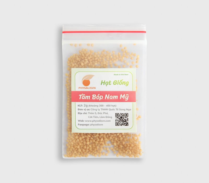 HẠT GIỐNG TẦM BÓP NAM MỸ (2G)