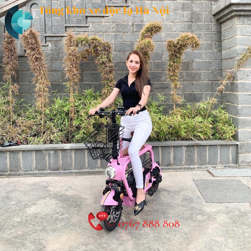 Giỏ xe điện [ SALE SALE ] - rổ xe điện hotgirl