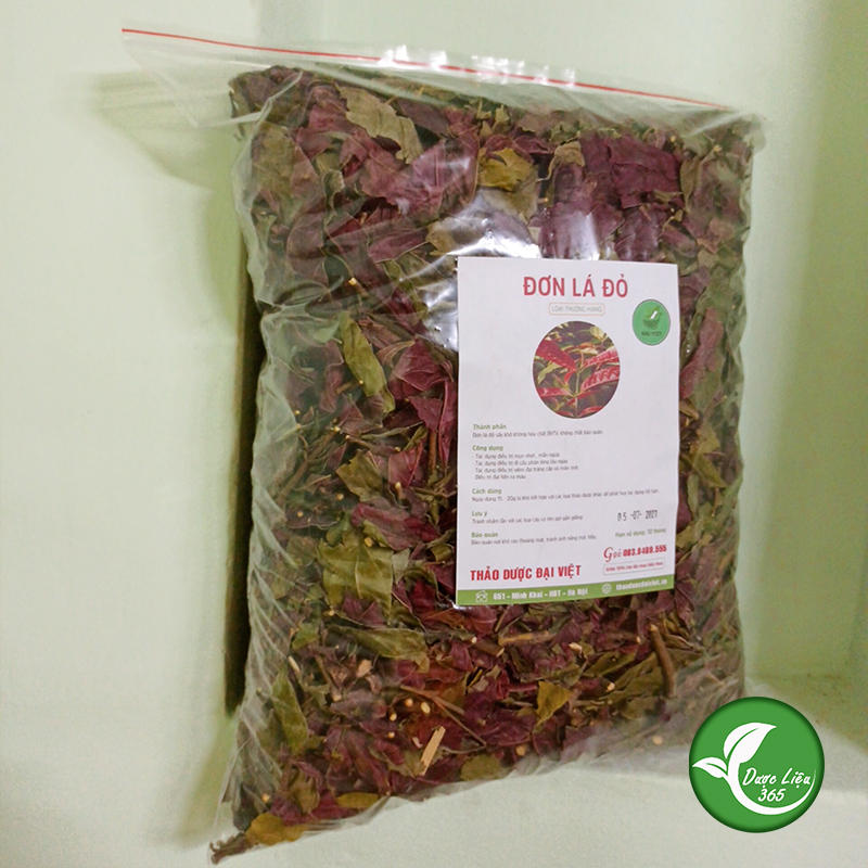 Cây Đơn Lá Đỏ khô (1KG) - DV150