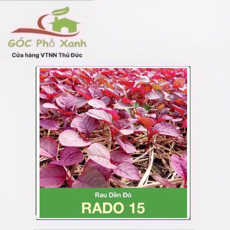 Hạt giống rau dền đỏ 50g