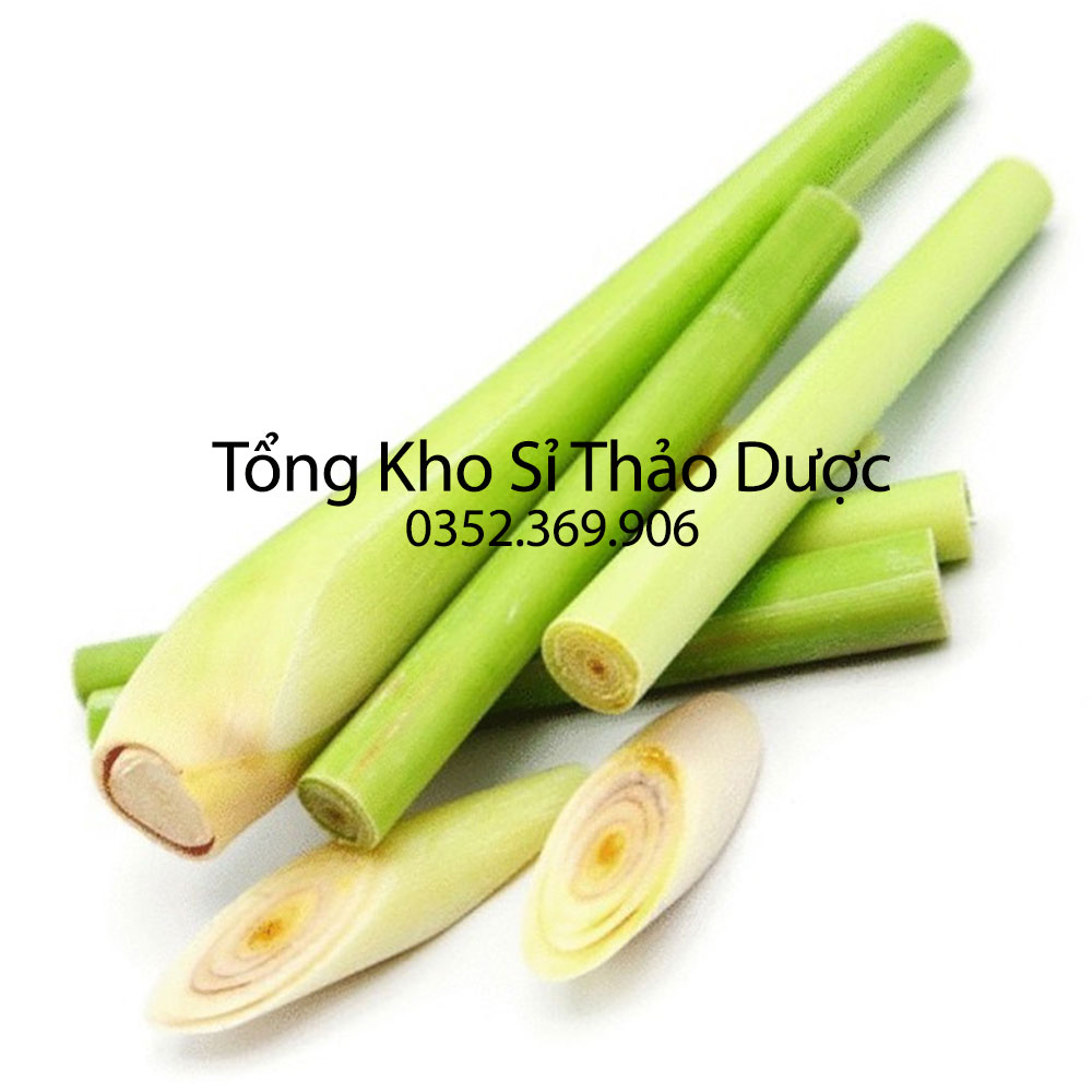 Bột sả nguyên chất 100g (Bột sả khử mùi, bột nấu ăn)