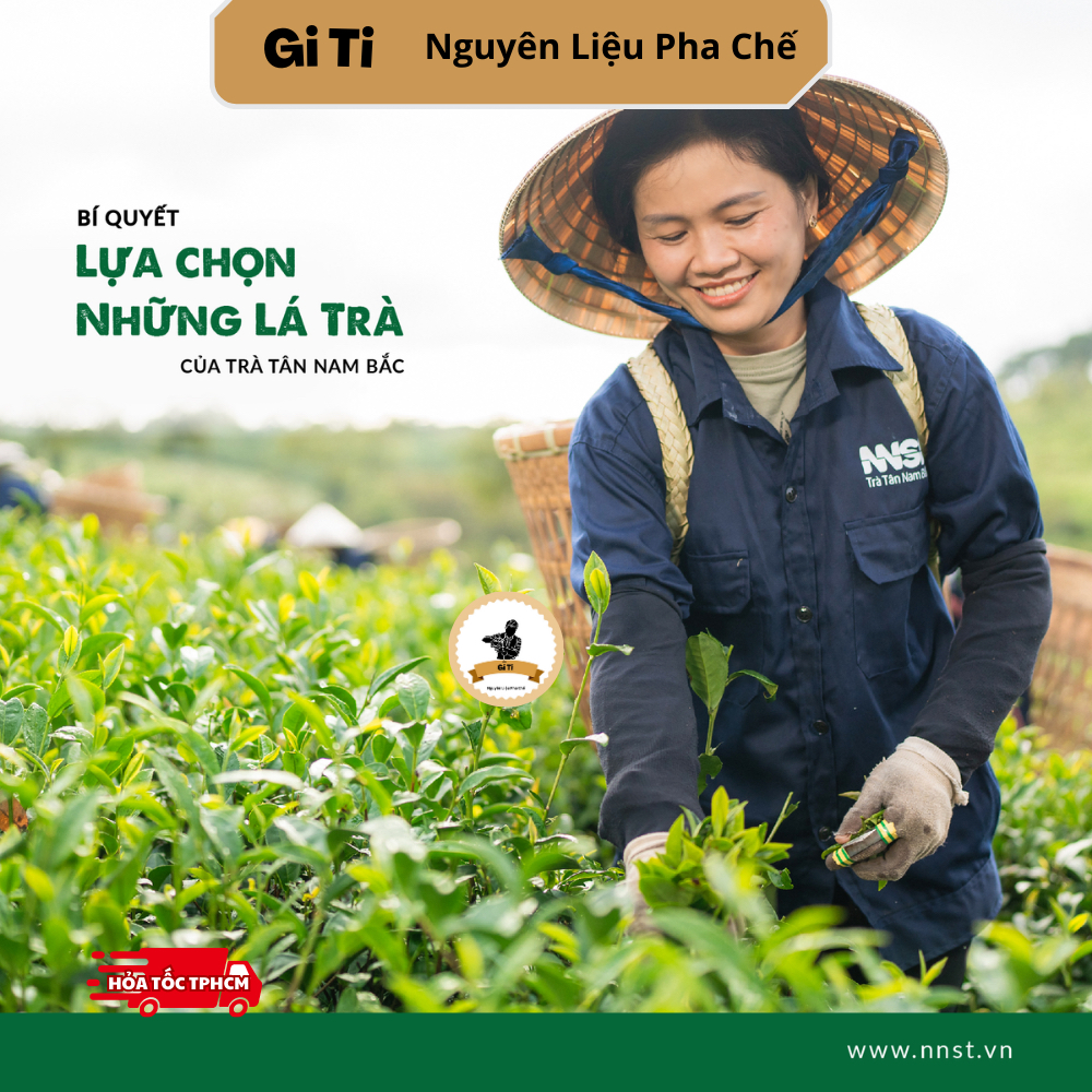 Trà Lài Tân Nam Bắc