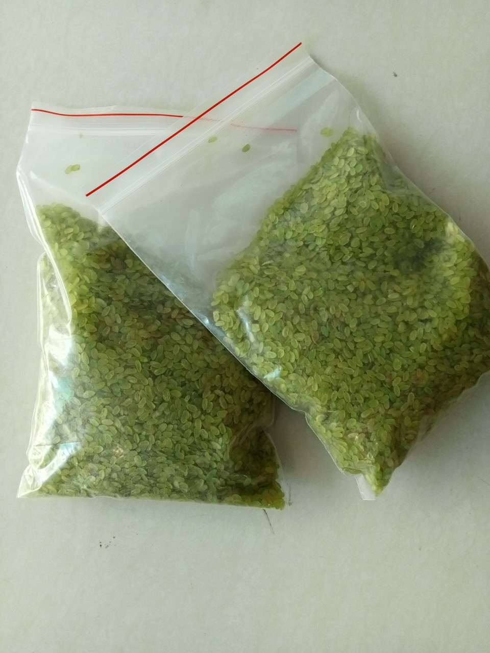 Cốm nếp non tây bắc,cốm nấu xôi ,cốm nấu chè