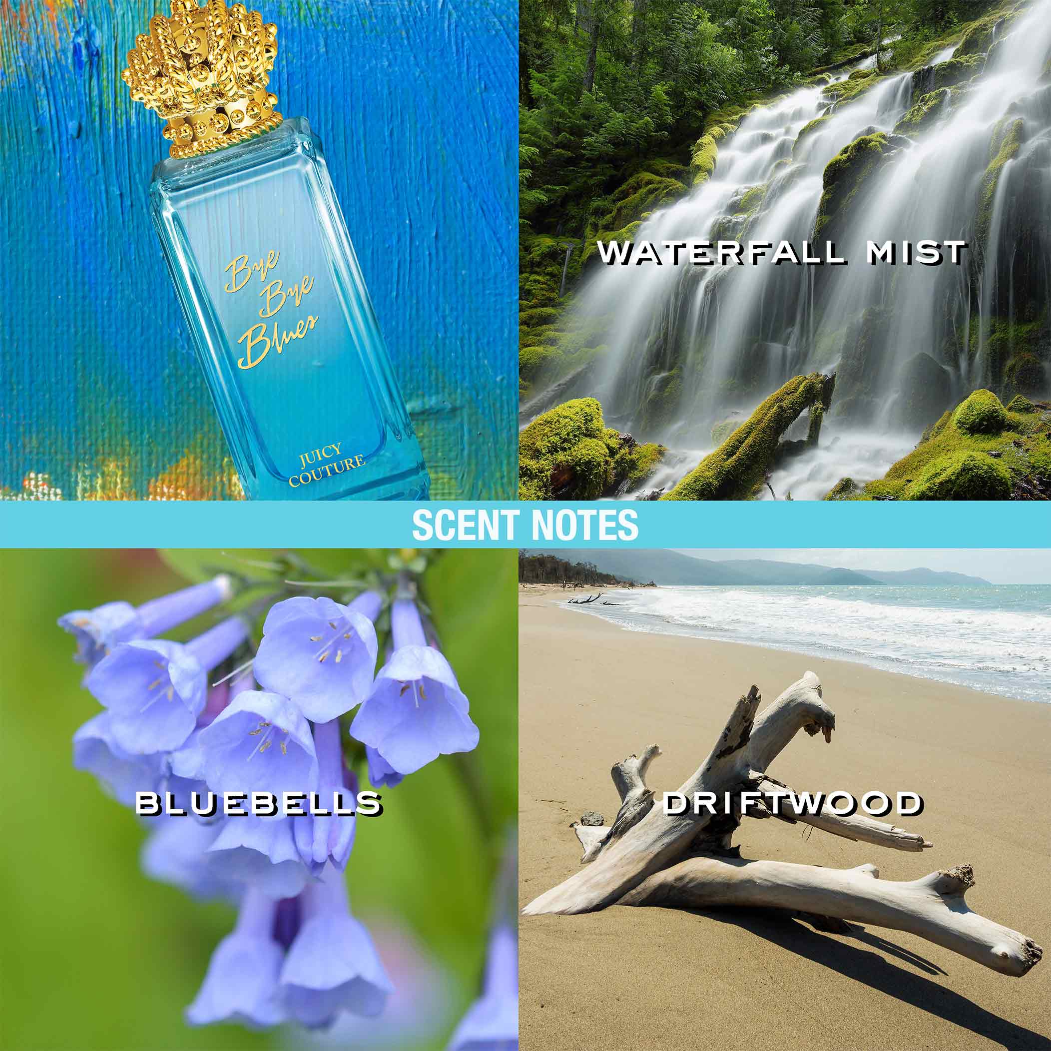 bye bye blue juicy couture