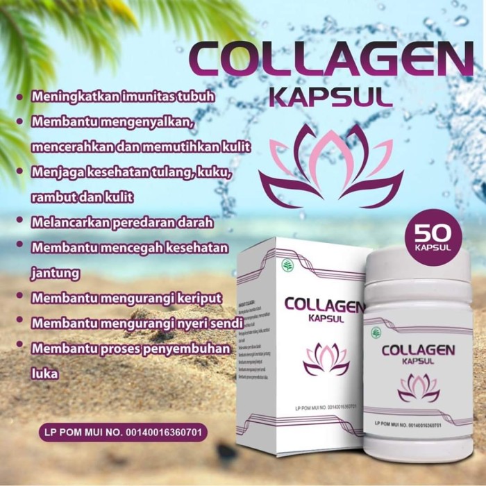 Kapsul Collagen Original 100 Herbal BPOM WHITENING KULIT SELURUH TUBUH WHITENING BADAN