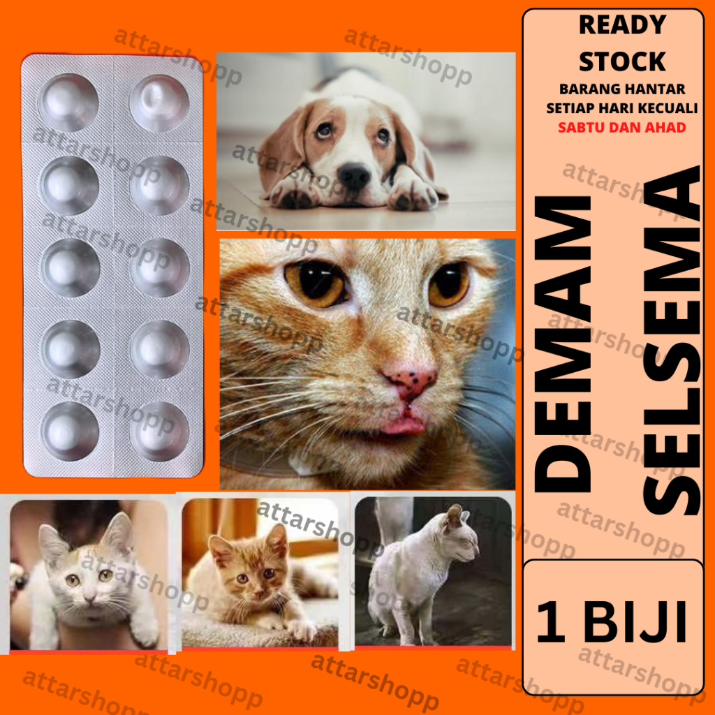 rawatan demam selsema kucing njing untuk merawat jangkitan pernafasan ...