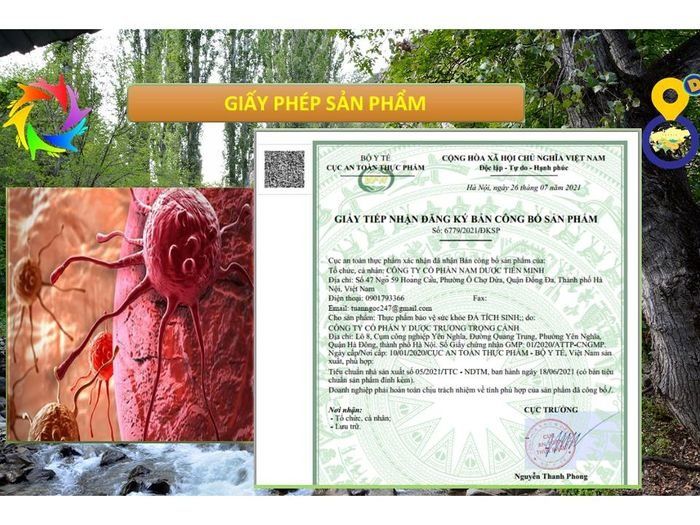 THỰC PHẨM CHỨC NĂNG ĐẢ TÍCH SINH