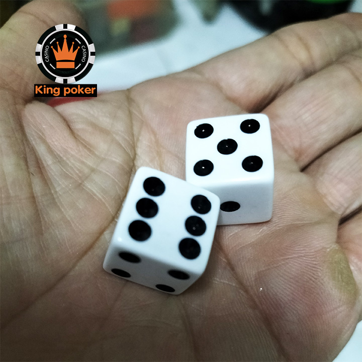 Combo 10 viên xí ngầu vuông size 16mm 19mm