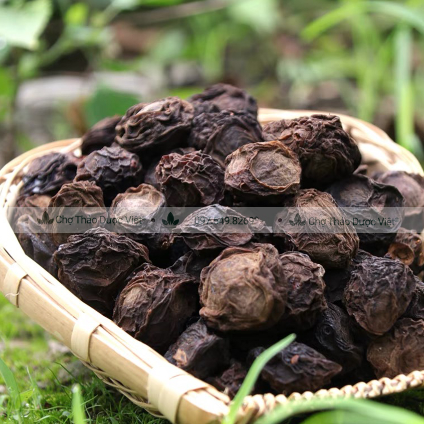 Hạt mắc mật khô 100g ( Hạt móc mật gia vị Tây Bắc tẩm ướp thịt quay) - Chợ Thảo Dược Việt