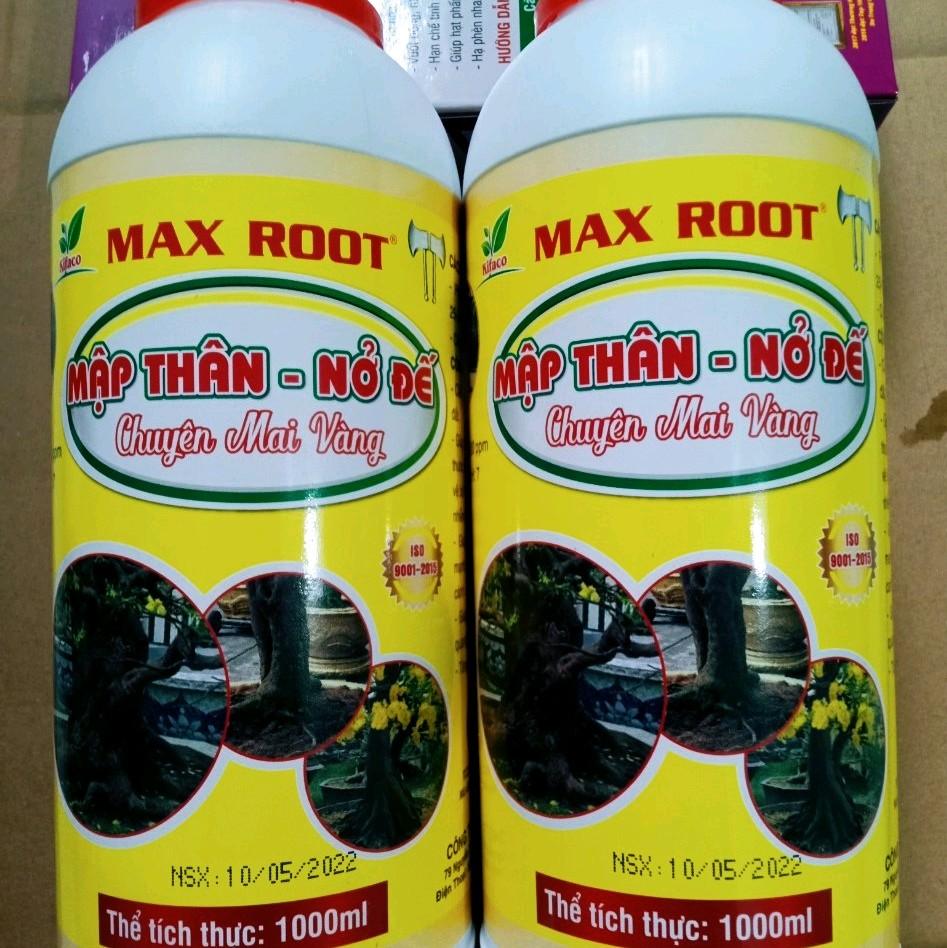 MẬP THÂN NỞ ĐẾ