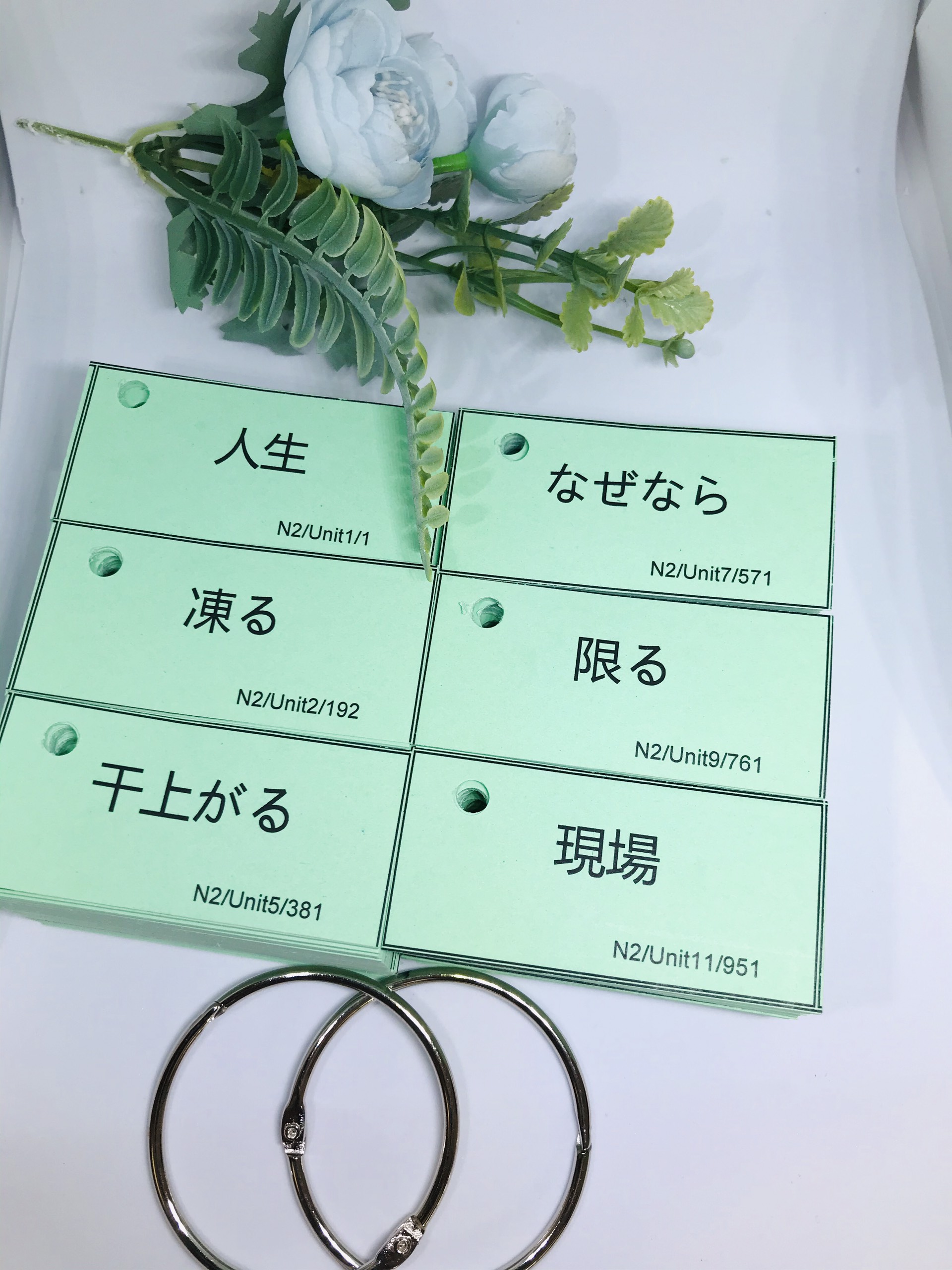 FLASHCARD TIẾNG NHẬT N2 MIMIKARA 1117 THẺ