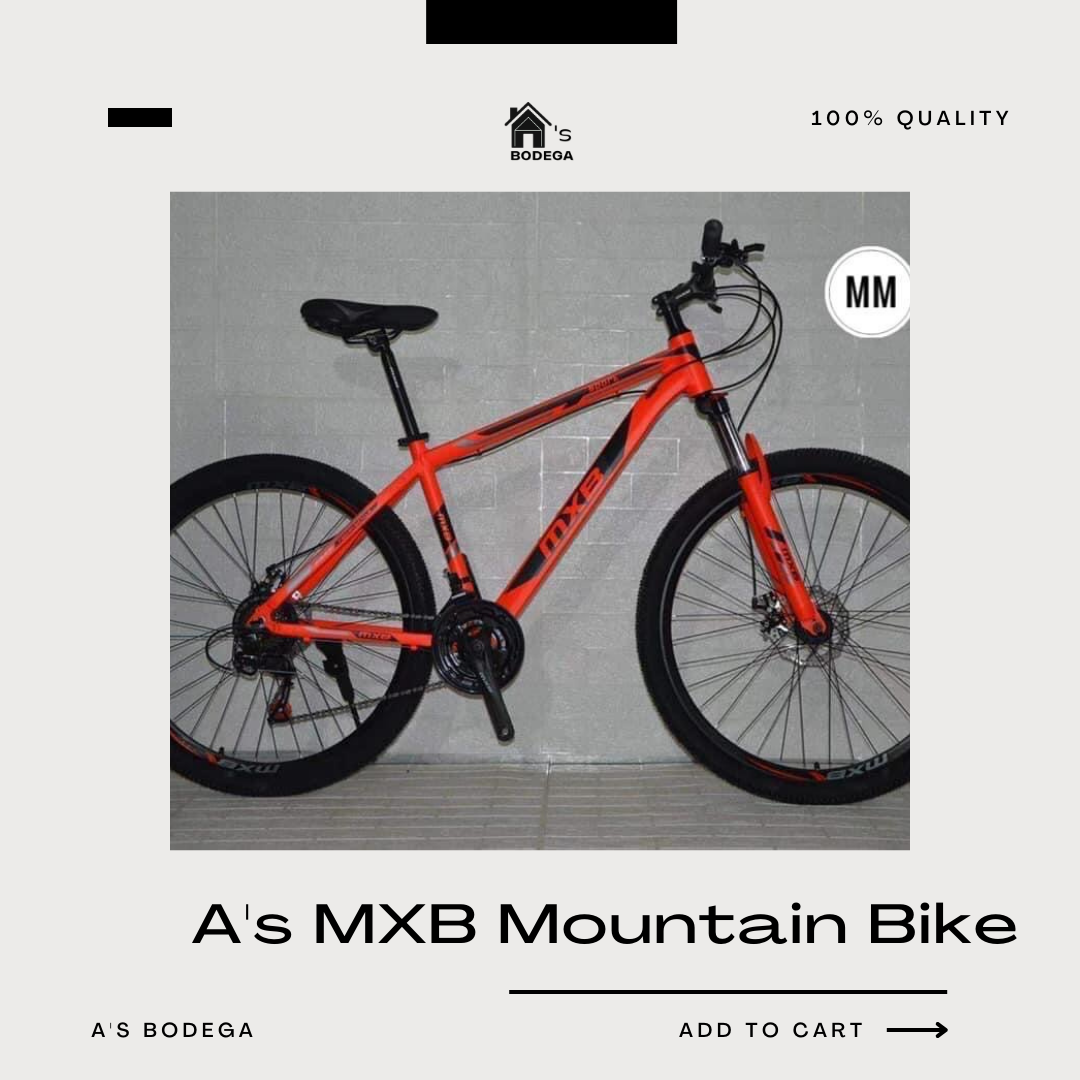 mxb bike price